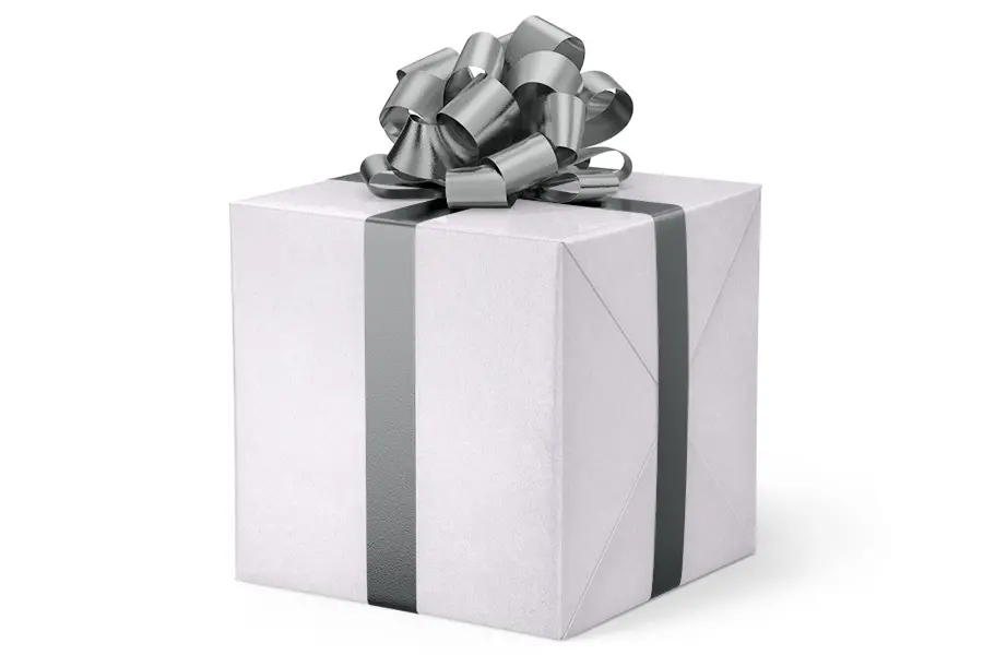 24W x 417 ft, Solid Wrapping Paper, Snow Willow