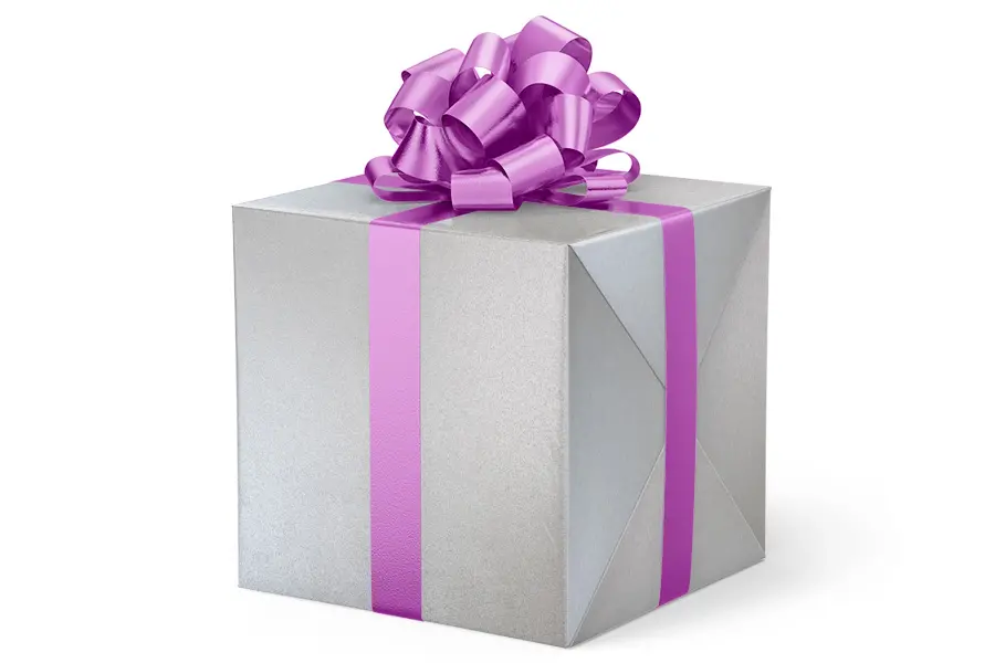 24W x 417 ft, Everyday Wrapping Paper, Antique Silver Kraft