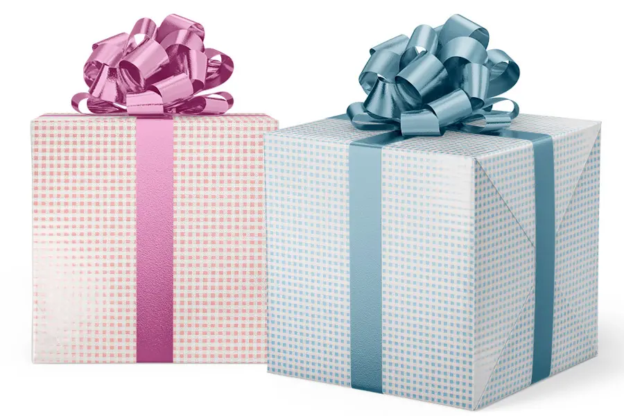 24W x 417 ft, Everyday Wrapping Paper, Pink and Blue Gingham