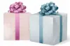 24W x 417 ft, Everyday Wrapping Paper, Pink and Blue Gingham