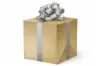 24W x 417 ft, Solid Wrapping Paper, Pure