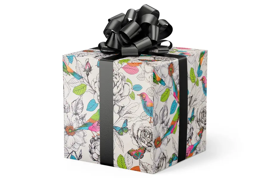 24W x 417 ft, Everyday Wrapping Paper, In Living Color