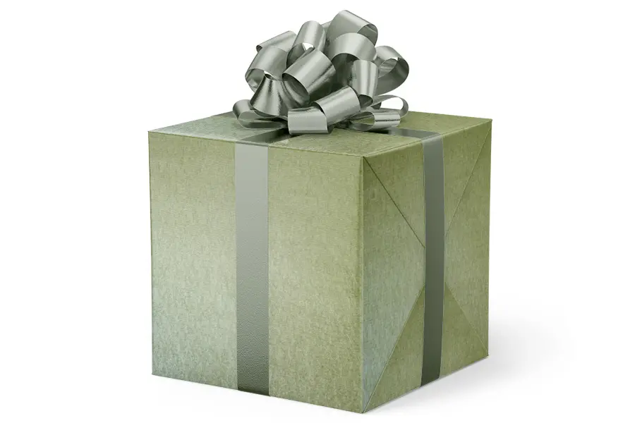 24W x 417 ft, Solid Wrapping Paper, Rosemary