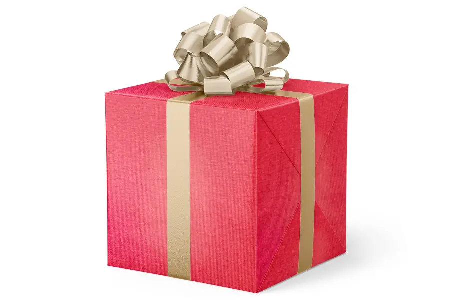 24W x 417 ft, Everyday Wrapping Paper, Red Attitude