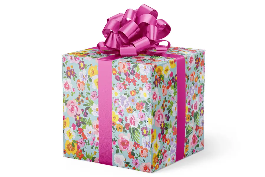 24W x 417 ft, Everyday Wrapping Paper, Field Day
