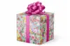 24W x 417 ft, Everyday Wrapping Paper, Field Day