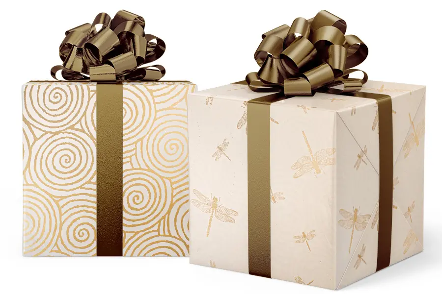 24W x 417 ft, Everyday Wrapping Paper, Dragonflies - Swirls