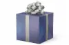 24W x 417 ft, Everyday Wrapping Paper, Lenox Lined Blue