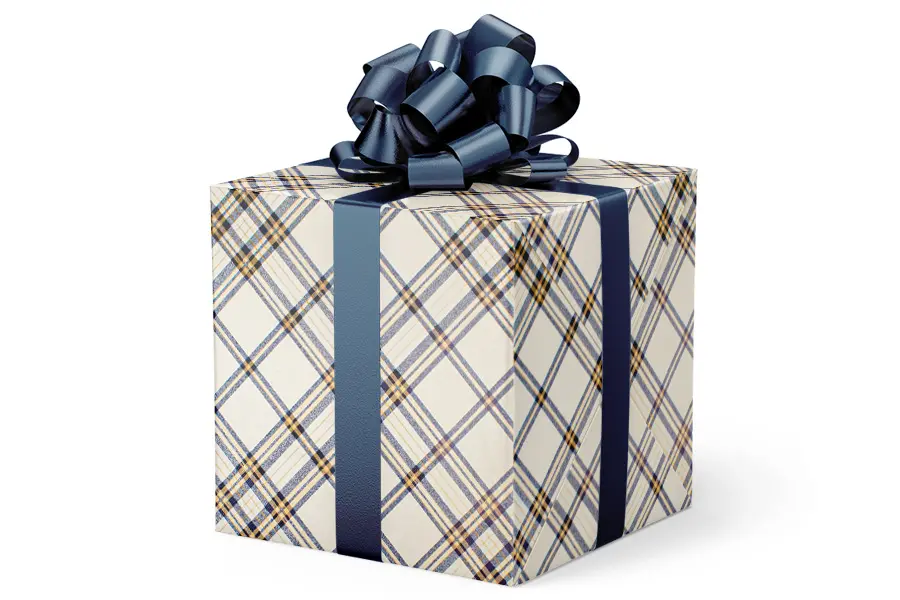 24W x 417 ft, Everyday Wrapping Paper, Pristine Plaid