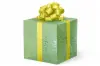 24W x 417 ft, Holiday Wrapping Paper, Lunar New Year
