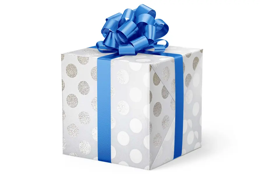 24W x 417 ft, Everyday Wrapping Paper, Large Dots