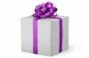 24W x 417 ft, Everyday Wrapping Paper, Silver Stripe