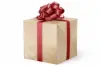 24W x 417 ft, Everyday Wrapping Paper, Gold Foil Denim