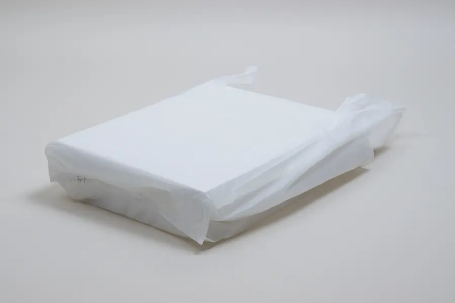 12W X 7D X 22H, ECONOMY T-SHIRT PLASTIC SHOPPING BAGS - WHITE