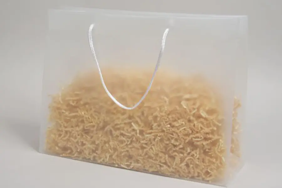 16W x 6D x 12H, Rope Handled Plastic Take-Out Bags, Frosted Clear