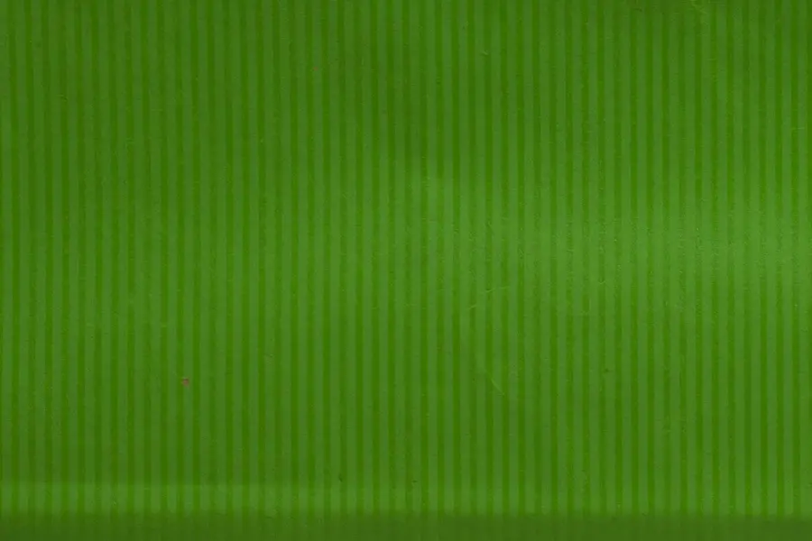 <16X6X13  SHOP BAG APPLE GREEN
