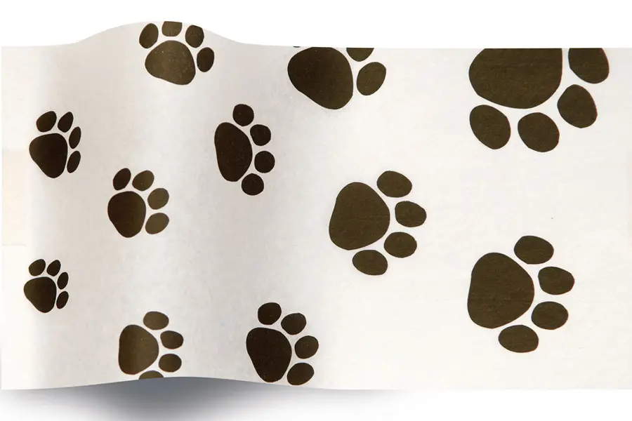 20W x 30L, Everyday Styled Tissue, Puppy Paws
