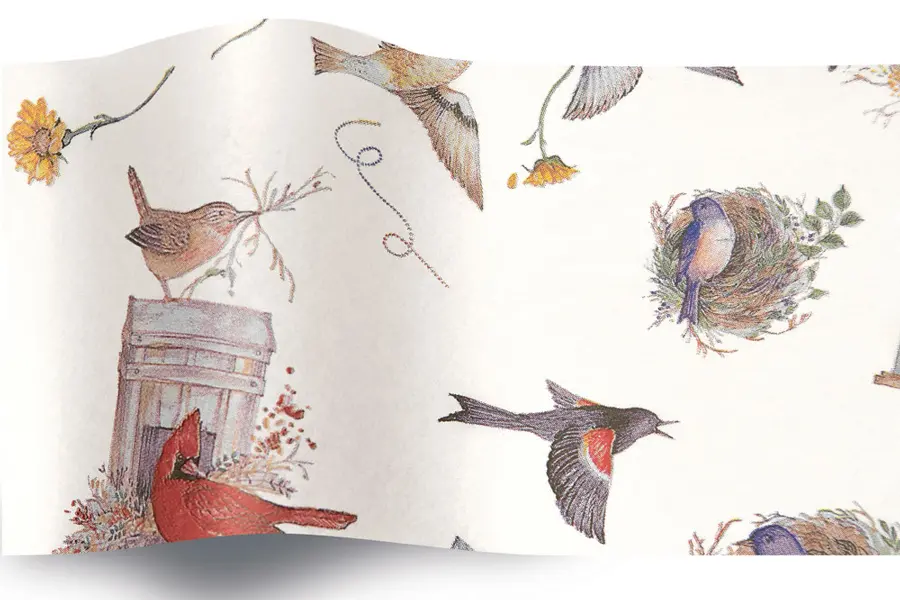 20W x 30L, Everyday Styled Tissue, Birds Nest