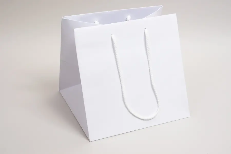 10W x 10D x 10H, White Kraft Eurototes with Rope Handles