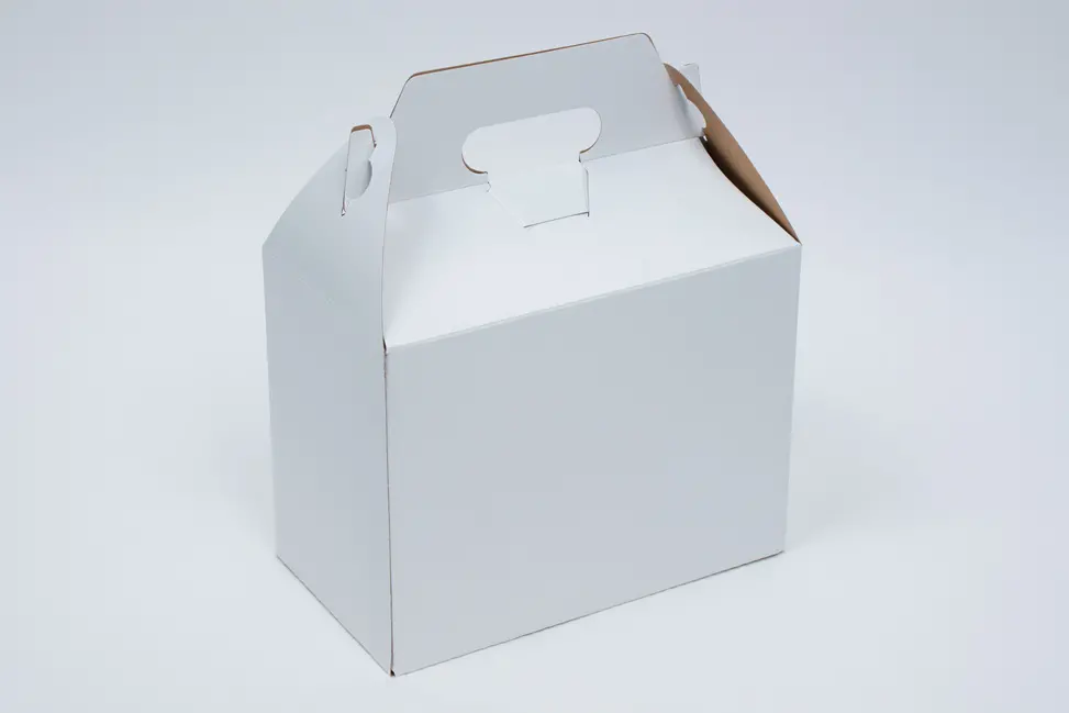 4-7/8L x 8W x 5-1/4H, Everyday Gable Boxes, White