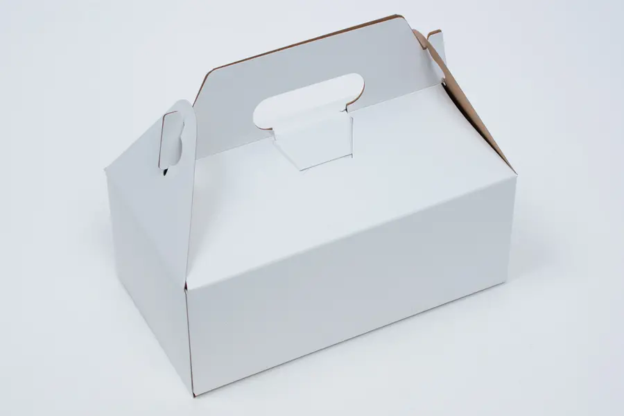 5L x 8-7/8W x 3-1/2H, Everyday Gable Boxes, White