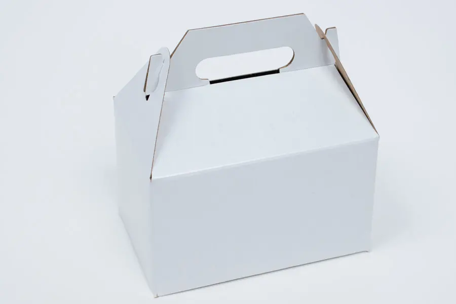 5L x 9-1/2W x 5H, Everyday Gable Boxes, White