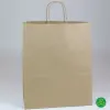13W x 6D x 15-3/4H, Brown Kraft Paper Bags with Twisted Paper Handle