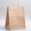 12W X 9D X 16H, BROWN KRAFT PAPER BAGS WITH TWISTED PAPER HANDLE