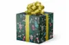24W x 417 ft, Holiday Wrapping Paper, Nutty Holiday