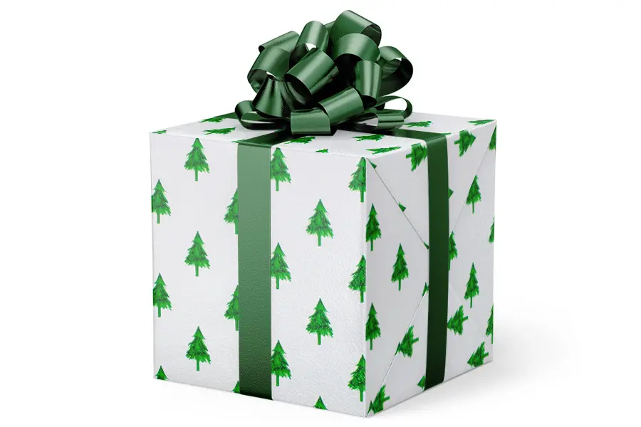 24W x 417 ft, Everyday Wrapping Paper, Evergreens