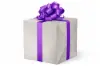 24W x 417 ft, Everyday Wrapping Paper, Pearl Woodgrain