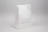 11W x 6D x 17H, Stand Up Paper Merchandise Bags, White