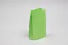 4-1/8W x 2-1/2D x 7-7/8H, Stand Up Colored Paper Bags, Lime