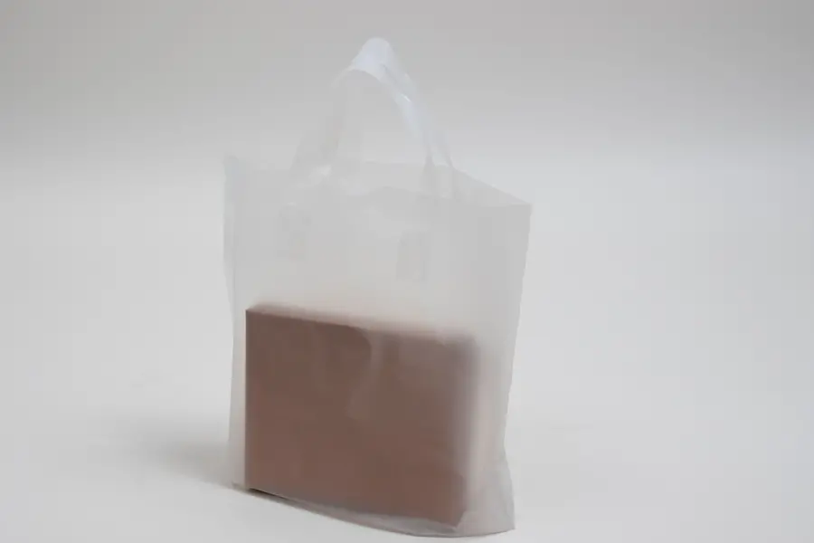 12W x 4D x 10H, Plastic Tote Bags with Soft Loop Handles, Frosted Clear