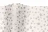 20W x 30L, Precious Metals Tissue Paper, Silver Star White