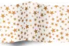 20W x 30L, Precious Metals Tissue Paper, Gold Stars White