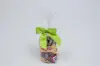 3W x 2-3/4 Bow, Pre-Tied Satin Bows With Wire Twist, Kiwi Satin