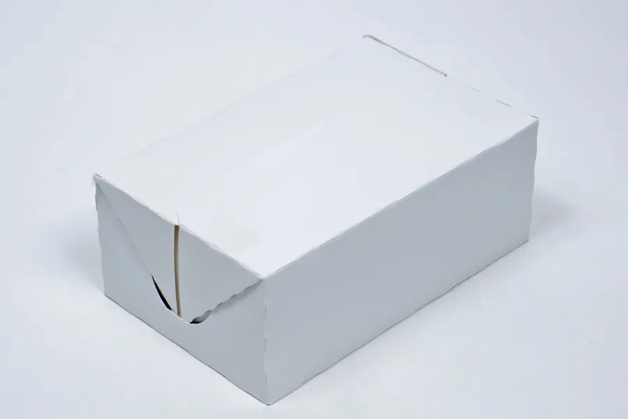 7L x 4-1/2W x 2-3/4H, To Go Deli Boxes with Fast Top Flap Closure, White