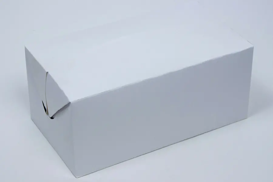 9L x 5W x 4H, To Go Deli Boxes with Fast Top Flap Closure, White