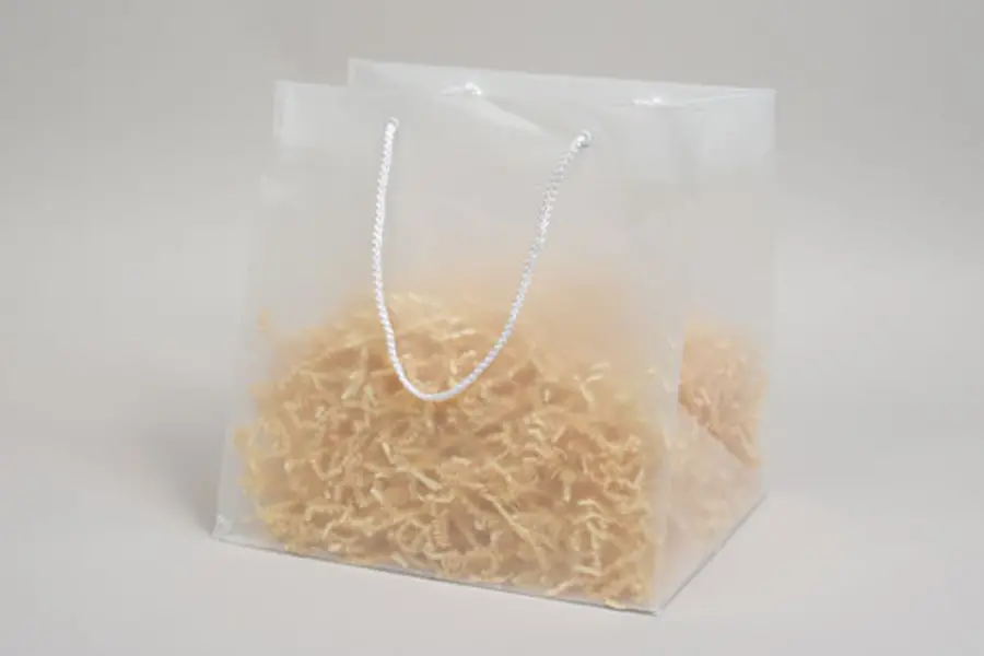 Rope Handled Plastic Takeout Bags