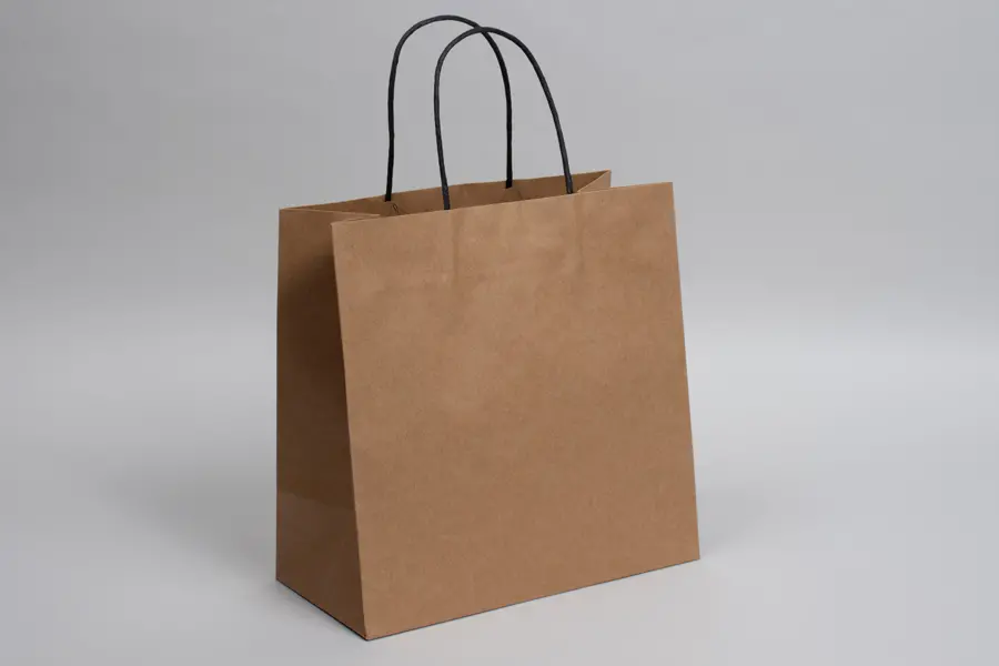 10W x 5D x 10H, Brown Kraft Paper Bags with Twisted Paper Handle
