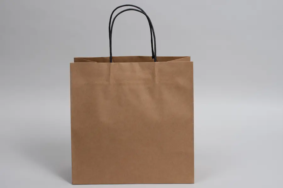 10W x 5D x 10H, Brown Kraft Paper Bags with Twisted Paper Handle