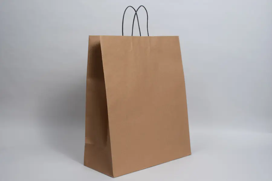 16W x 7D x 19H, Brown Kraft Paper Bags with Twisted Paper Handle