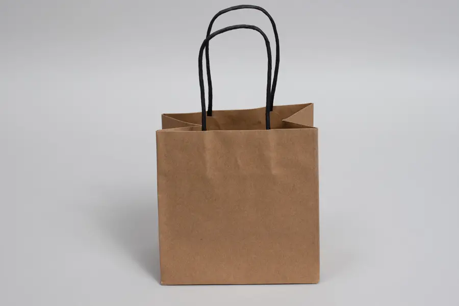6W x 4D x 6H, Brown Kraft Paper Bags with Twisted Paper Handle