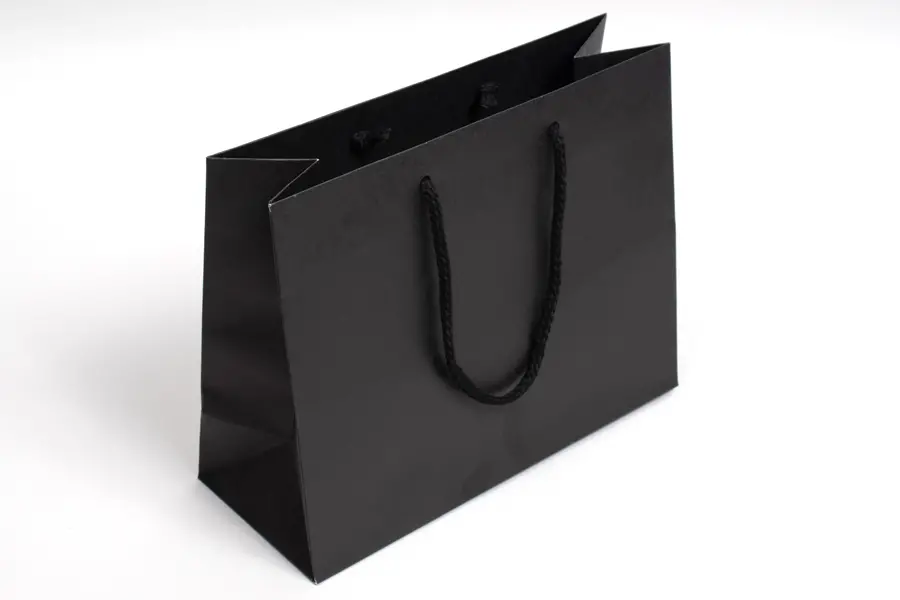 10W x 4D x 8H, Enviro Eurototes, Black