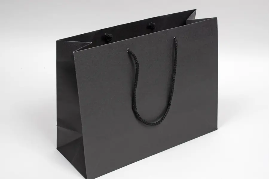 13W x 5D x 10H, Enviro Eurototes, Black