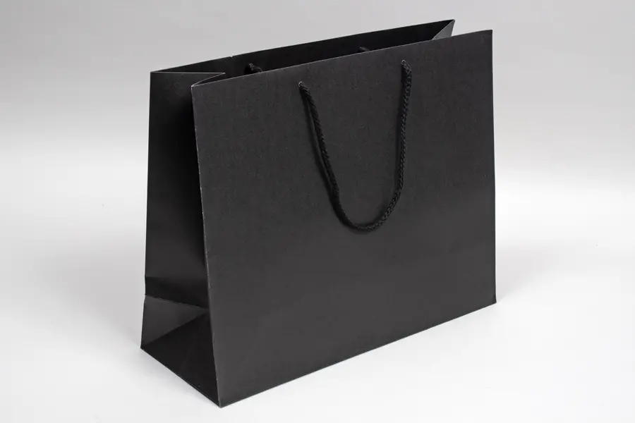16W x 6D x 13H, Enviro Eurototes, Black