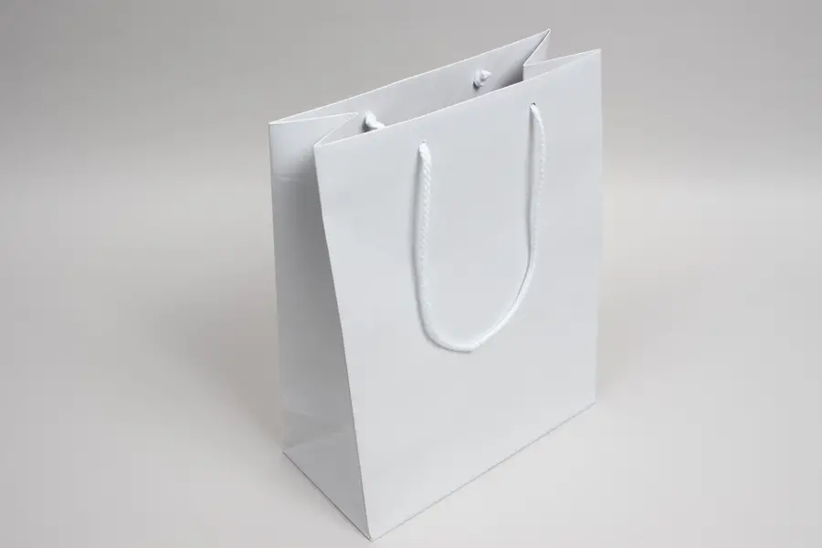 10W x 5D x 13.5H, Enviro Eurototes, White