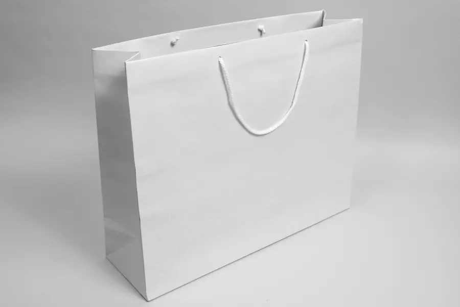 20W x 6D x 16H, Enviro Eurototes, White