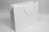 20W x 6D x 16H, Enviro Eurototes, White